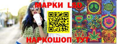 индика Будённовск