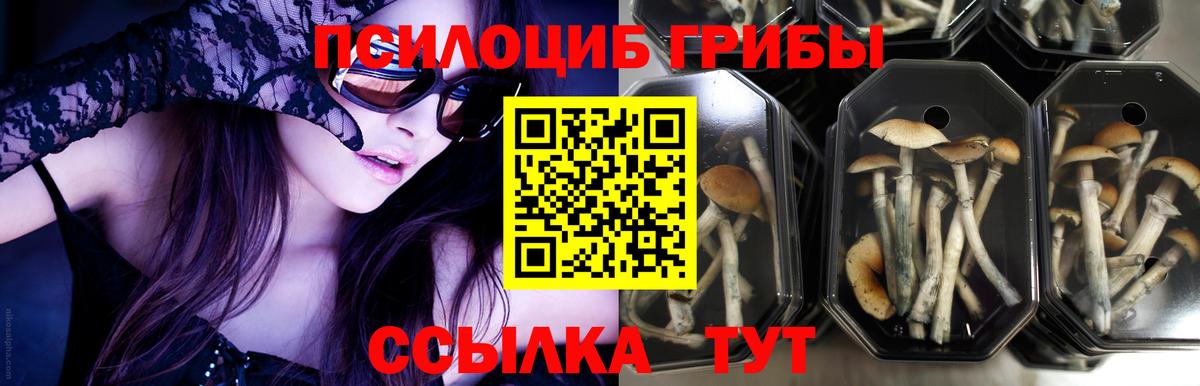 Пермь  Псилоцибиновые грибы мухоморы  закладки  Вход с VPN 